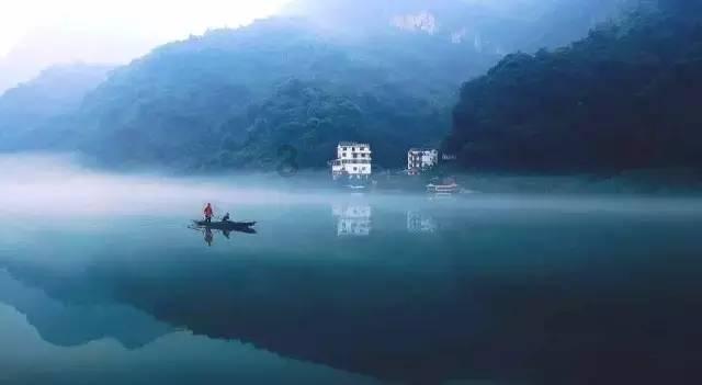 可爱猪救援2